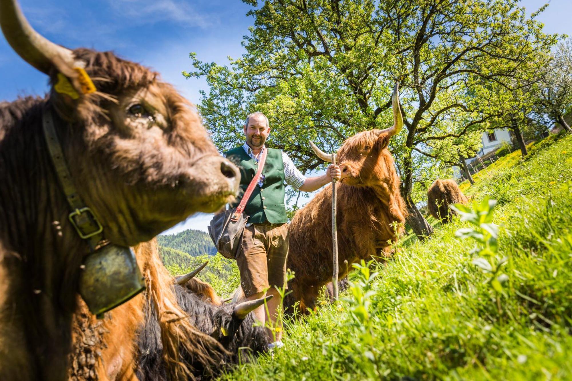 Biobauernhof Lacken Strohmarkt Buitenkant foto